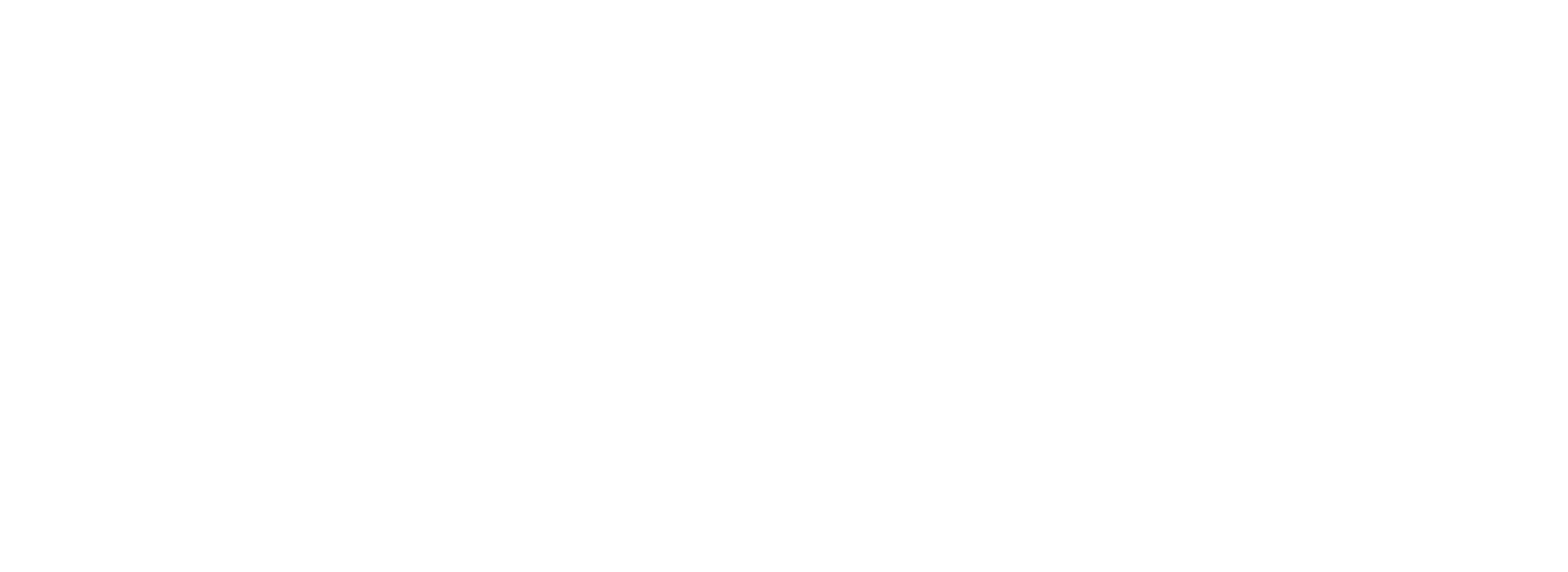 APT. Logo